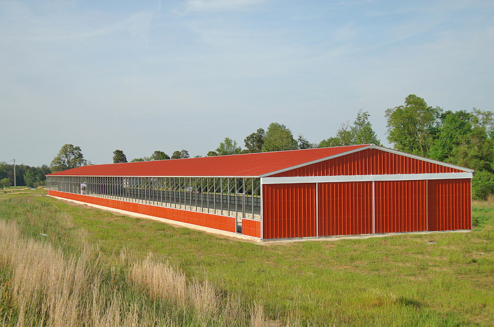 Metal Buildings